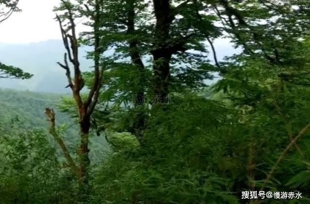 消逝的光芒